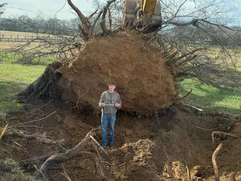 Lot Clearing in Franklin, TN
